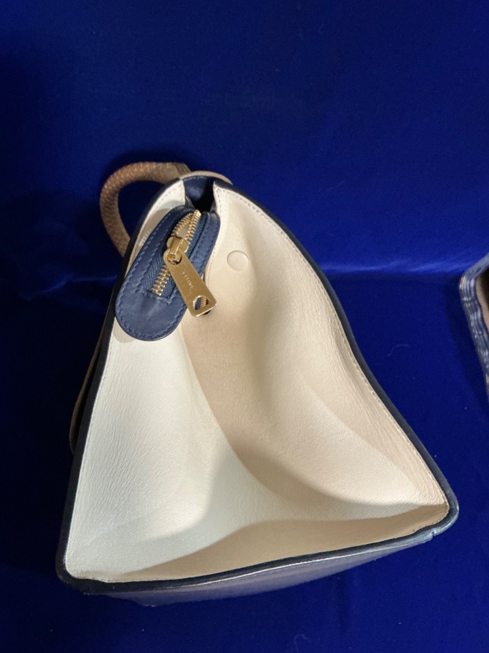 Celine Trapeze Medium Python Multi-Colored Shoulder Bag - Picture 8 of 14